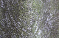 Hinderwell fibreglass roof work